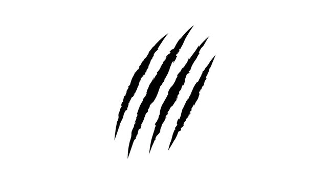 Black claw scratch marks isolated on transparent background