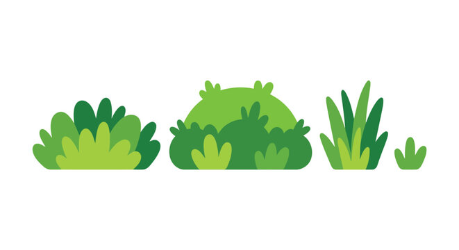 Green shrubbery vector illustration against a white background foliage shrubs