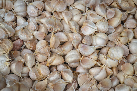 Multiple garlic bulbs with pale beige papery skins arranged closely together, showing their natural segmented shapes and dried roots.