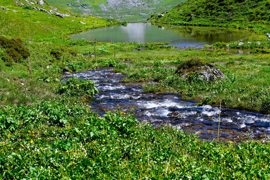 Idyllischer Bergsee mit zuflie&szlig;endem Gebirgsbach auf der Oberalp im Kanton Uri, Schweiz