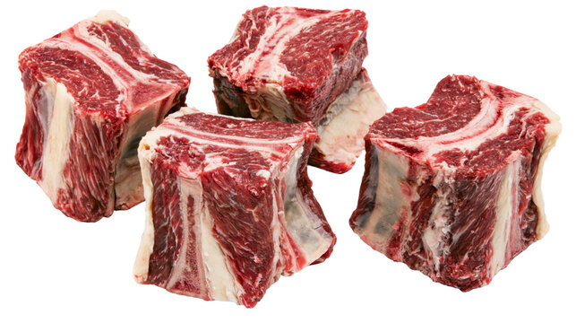 Isolated raw beef short ribs with bone marrow, fresh red meat for grilling or braising