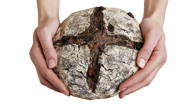 Isolated homemade whole grain sourdough bread with raisins and nuts held carefully by hands