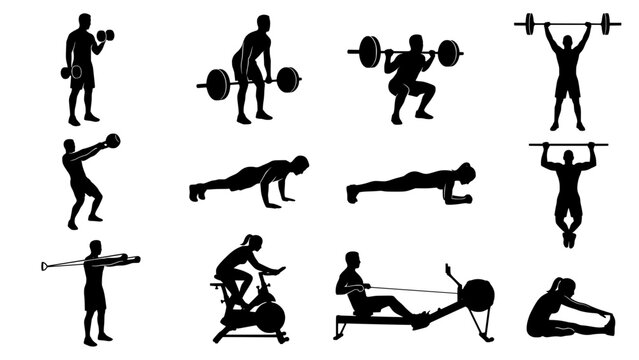 Fitness and workout silhouettes showing a man and woman exercising with weights barbell cardio equipment silhouettes exercise training muscular