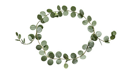Isolated fresh green eucalyptus leaves forming a natural circular frame, perfect for botanical design. © Andrei