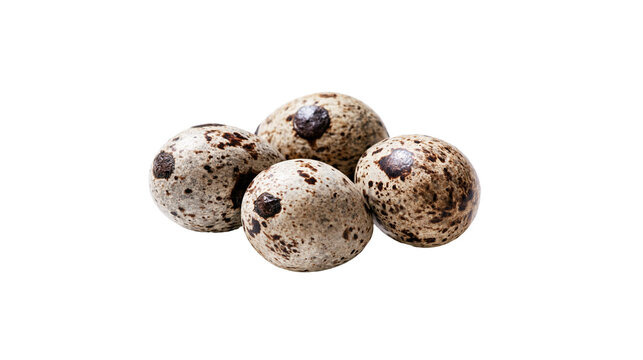 Isolated four fresh speckled quail eggs, a natural group of healthy small food ingredients.