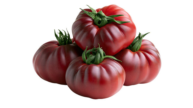 Isolated ripe heirloom dark red purple ribbed tomatoes piled up fresh vibrant organic produce