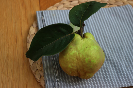 Cydonia oblonga or quince  fruit on gray napkin on wooden table 