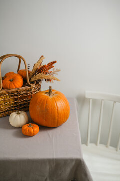 Autumn pumpkins and squashes on a table, minimalist seasonal home decoration with copy space for Halloween, Thanksgiving, fall lifestyle and food concepts, copy space