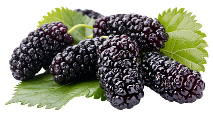 Isolated a group of fresh ripe dark mulberries with natural green leaves, healthy fruit © David