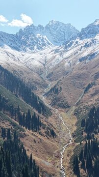 Vertical 9:16 4K drone video pull away and panning across fresh September snow on glaciers, mountain river stream and coniferous forest near Akbulak in Tian Shan mountains, Kazakhstan at morning
