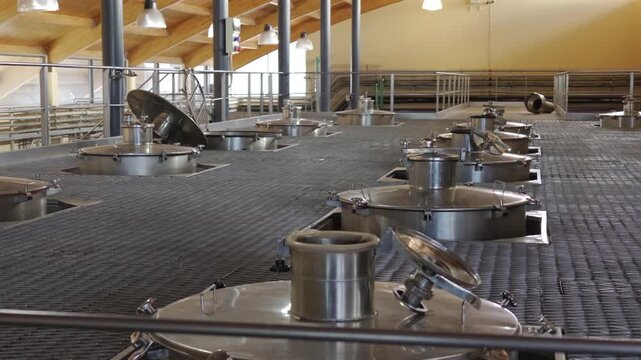 Rows of stainless steel wine fermentation tanks stand inside a modern industrial winery facility.