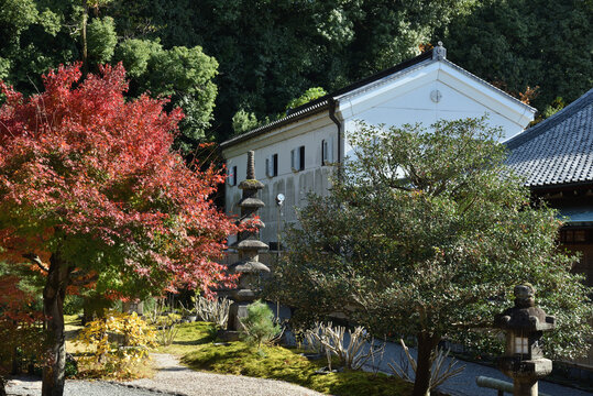 金戒光明寺　紫雲の庭　秋(京都市左京区)