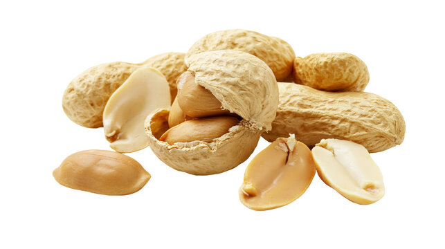 Isolated heap of fresh whole, shelled, and broken peanuts, a healthy and nutritious snack food