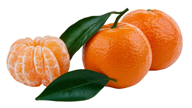 Isolated fresh ripe mandarins with green leaves and one peeled segment, healthy citrus fruit