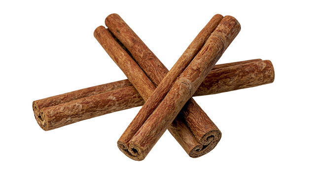 Isolated brown cinnamon sticks, natural and healthy spice for cooking and flavoring food.