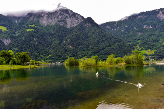 Blick &uuml;ber den idyllischen Lorelei-Badesee im Reussdelta mit schwimmenden Enten und Spiegelungen der Berge bei Fl&uuml;elen, Kanton Uri, Schweiz