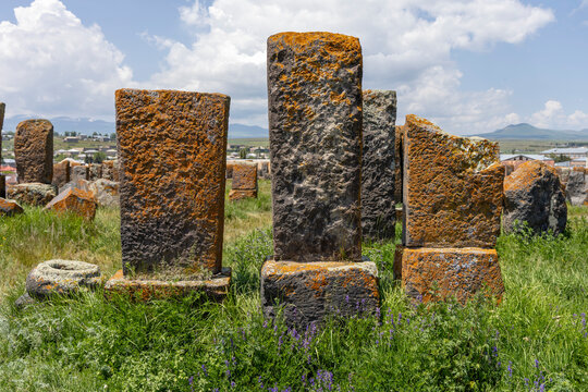 Tall carved stone tombstones covered with orange lichen stand among grass and wildflowers at the ancient medieval cemetery in Gegharkunik Province, Noratus, Armenia