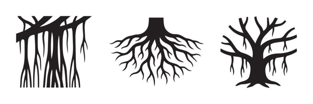 Banyan tree silhouettes set with aerial roots and branches, nature illustration