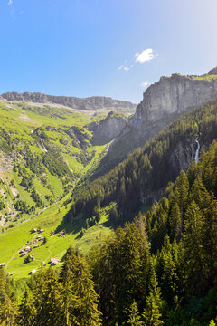 Untersch&auml;chen, Der tosende St&auml;ubifall st&uuml;rzt inmitten dichter Tannenw&auml;lder an der Alp &Auml;sch herab im Kanton Uri, Schweiz