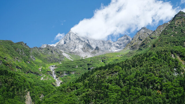 Landscape of the snow mountain range and pine trees forest in summer, Chengdu China