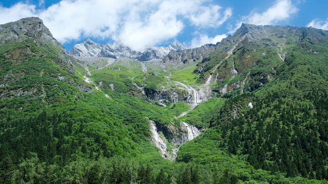 Landscape of the snow mountain range and pine trees forest in summer, Chengdu China