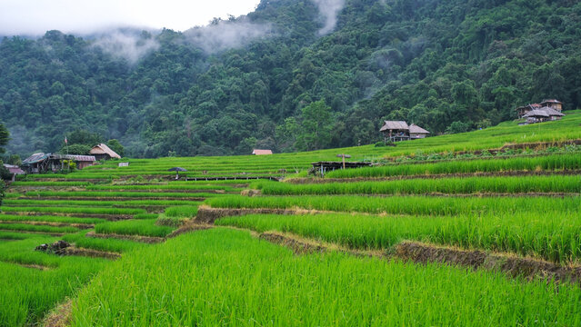 Rice terrace and wooden huts in the mountains on cloudy morning
