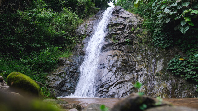 Landscape image of water stream flowing through the waterfall in the forest