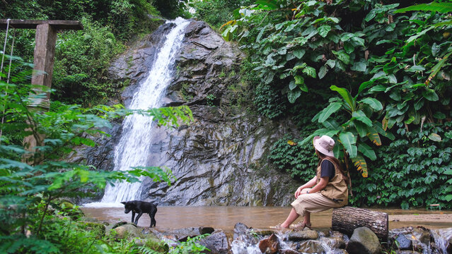 A woman sitting by the waterfall in the forest with a dog