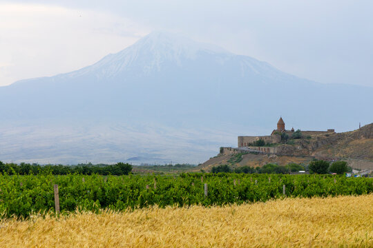 The Khor Virap monastery sits on a small hill below the snow capped peak of Mount Ararat surrounded by green vineyards and golden wheat fields in summer, Khor Virap, Armenia