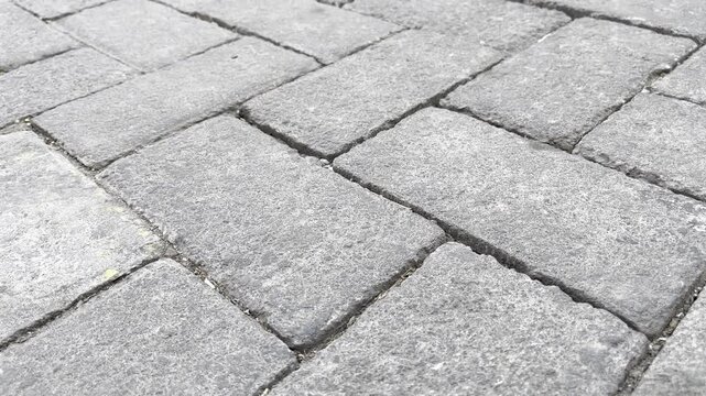 Grey Concrete Paving Blocks Texture Close Up
