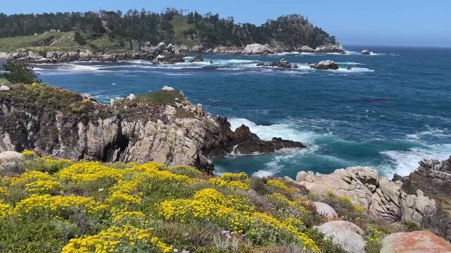 Aerial Drone View of Yellow Wildflowers and Rocky Cliffs Along Point Lobos Coastline California