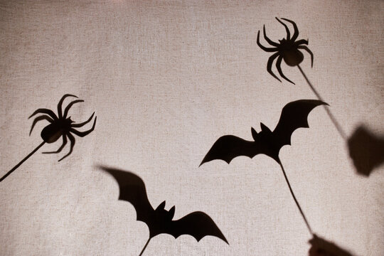 Halloween shadow theater with bats and spiders behind fabric