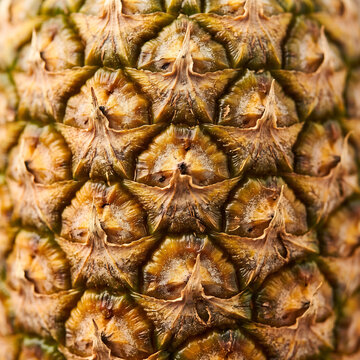 Macro close-up of fresh ripe pineapple fruit skin texture and scales