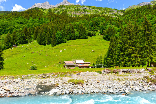 Untersch&auml;chen, Sch&auml;chental, Kanton Uri, Schweiz: Der rei&szlig;ende, t&uuml;rkisfarbene Sch&auml;chenbach flie&szlig;t im Vordergrund an gr&uuml;nen Bergh&auml;ngen mit H&uuml;tten unter den schroffen Gipfeln der Sch&auml;chentaler Windg&auml;llen