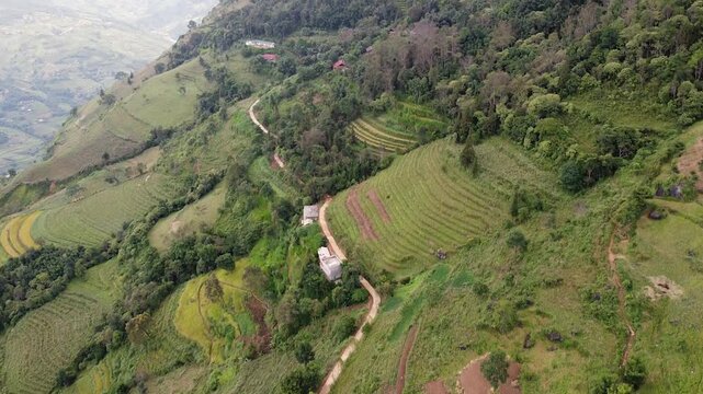 Aerial View of the Road in The Village Around Green Forests and Jungles with Palm Trees in Asia, Trees and Rice Fields Among The Mountains