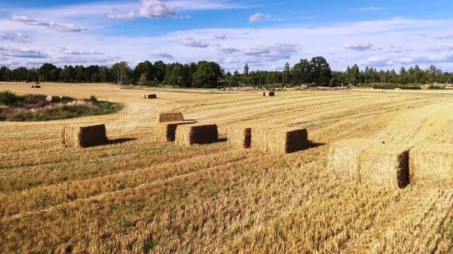 Fly close over harvested field and hey bales in Sweden