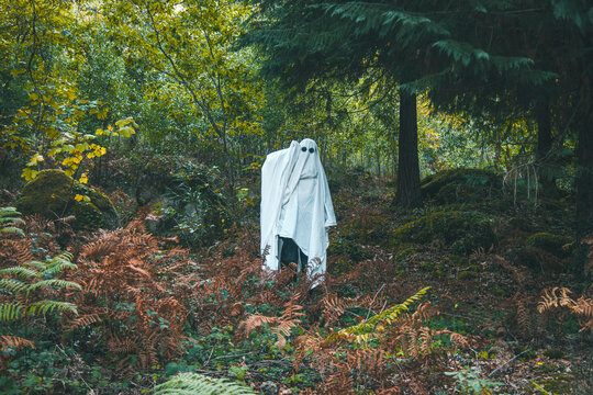 A spooky sheet ghost wearing sunglasses standing among autumn ferns in a forest for Halloween concept