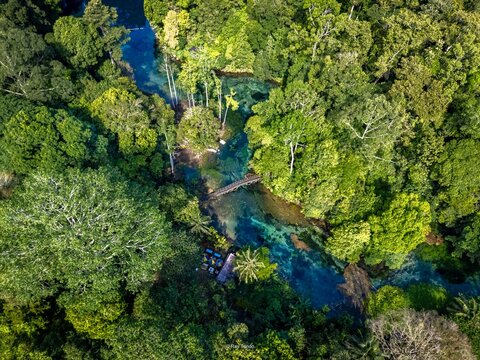 Aerial View of Danau Ni Lenggo Blue Lake in Tropical Rainforest, East Kalimantan, Indonesia