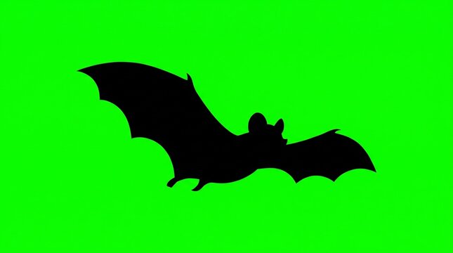 Black Halloween Bat Silhouette Flying Sideways on Green Screen