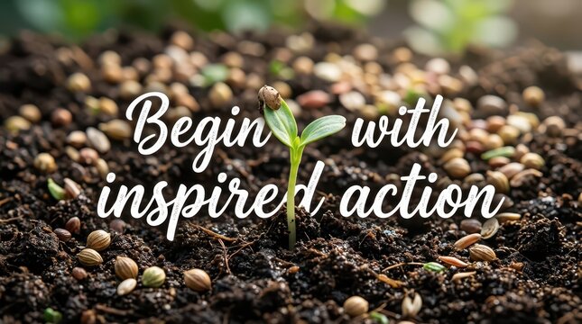 Close-up of a young seedling growing from fertile soil, symbolizing new beginnings and growth