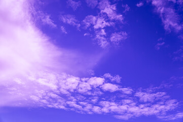 Delicate pink and purple clouds drift softly across a vibrant deep blue sky during sunset. © Dmitry