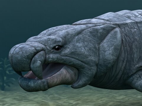 A photorealistic, close-up view of a Placodus, an armored marine reptile, swimming just above the sandy seafloor of a Triassic ocean. Its broad