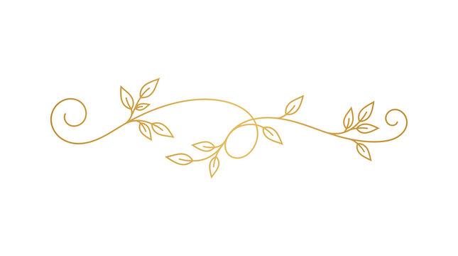 Elegant gold floral flourish with symmetrical leaf clusters and curling vines on a plain background