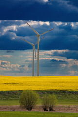 Elektrownie Wiatrowe  © Wojciech Lisiński