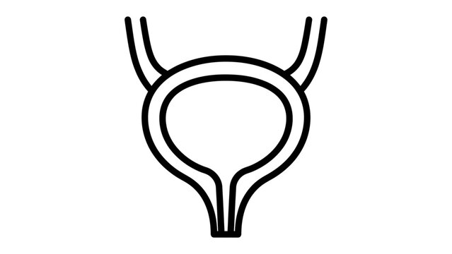 Bladder Medical Icon: A simple line drawing of the human bladder, a key organ in the urinary system, presented as a clear and concise medical icon.