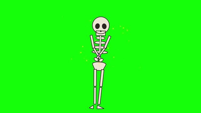 Human Skeleton Walking Animation on Green Screen