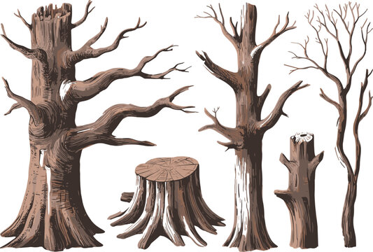 Set of dead old tree trunks with bare branches and aged wooden tree stumps cartoon vector illustration