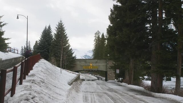 snow covered road