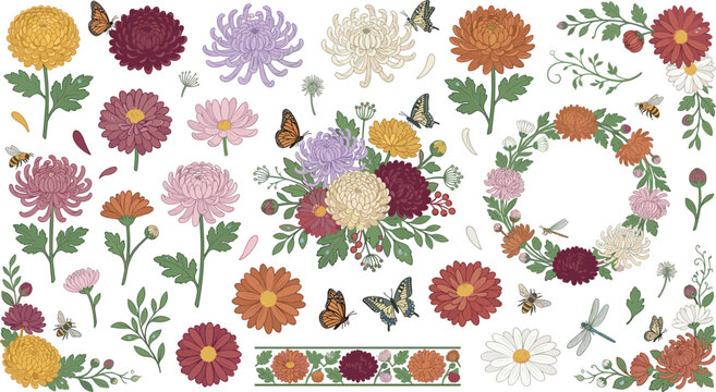 Beautiful hand drawn vector illustration collection of colorful chrysanthemum flowers with green leaves wreaths bouquets buds and butterflies isolated on white background