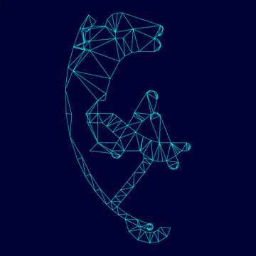 Skyrunner jumper for high jump jumping boots low poly triangulation triangulated polygonal electric cyan blue vibrant aqua neon color vector illustration image outline contour line